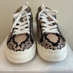 Chloe Lauren snake print sneaker